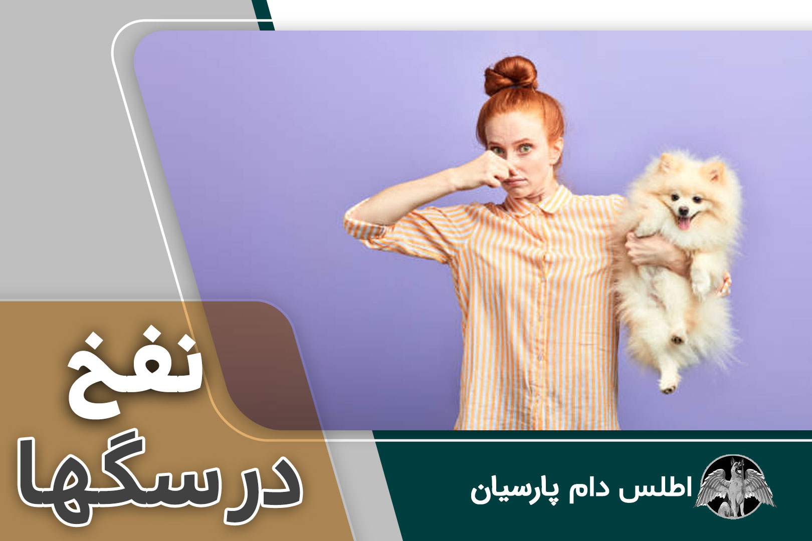 نفخ در سگها