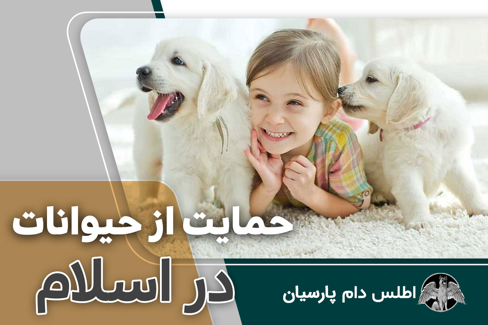 حمایت از حیوانات در اسلام
