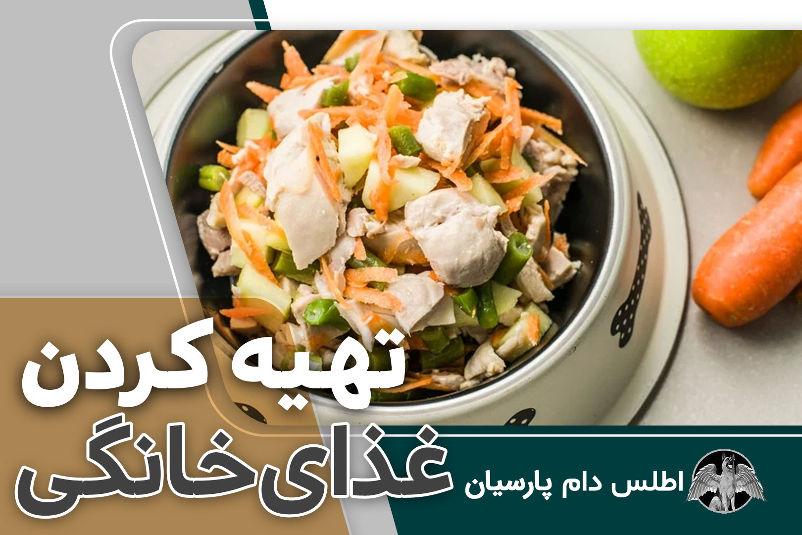 آموزش درست کردن غذای خانگی برای سگ ها