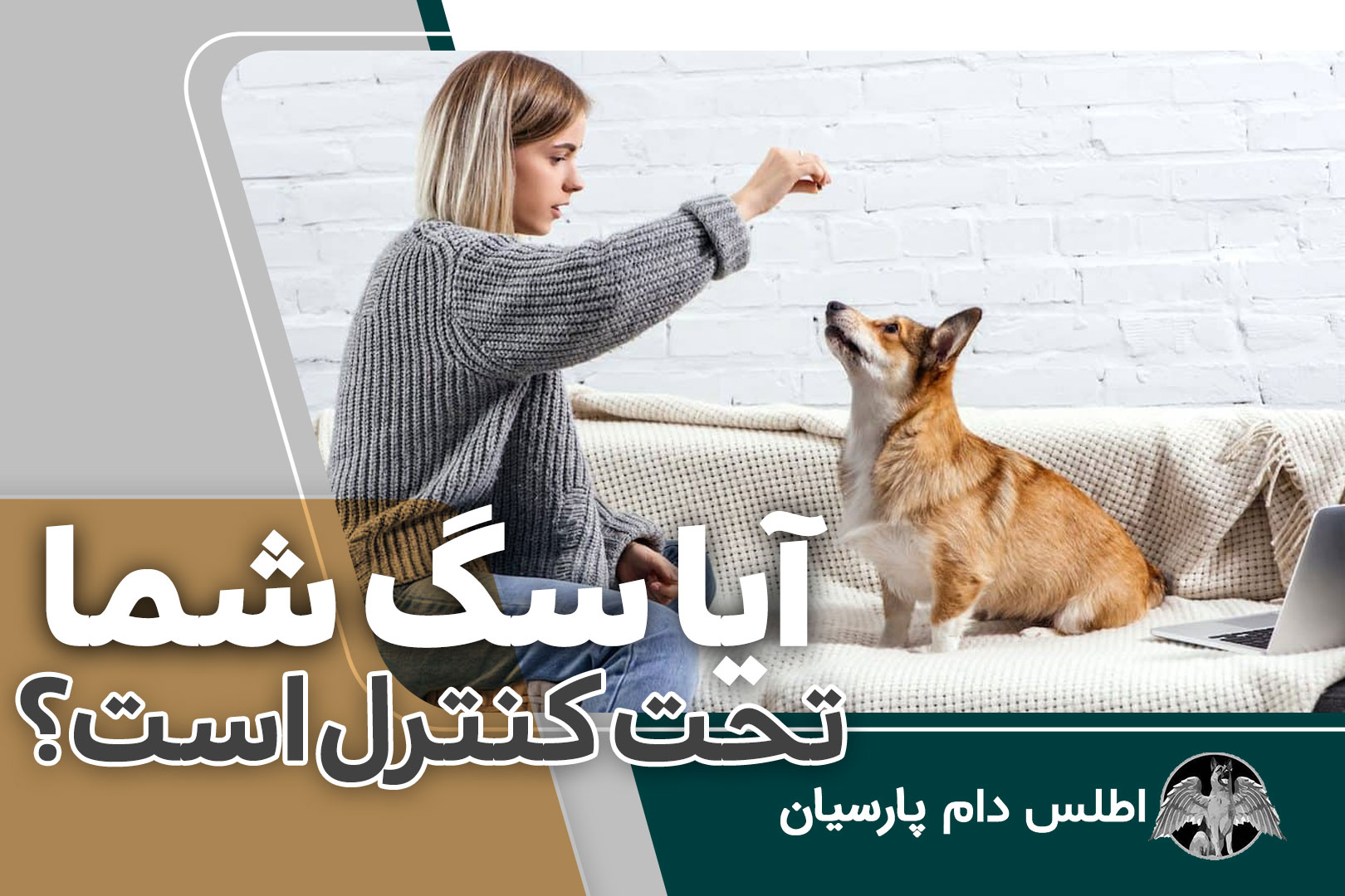 آیا سگ شما تحت کنترل است؟