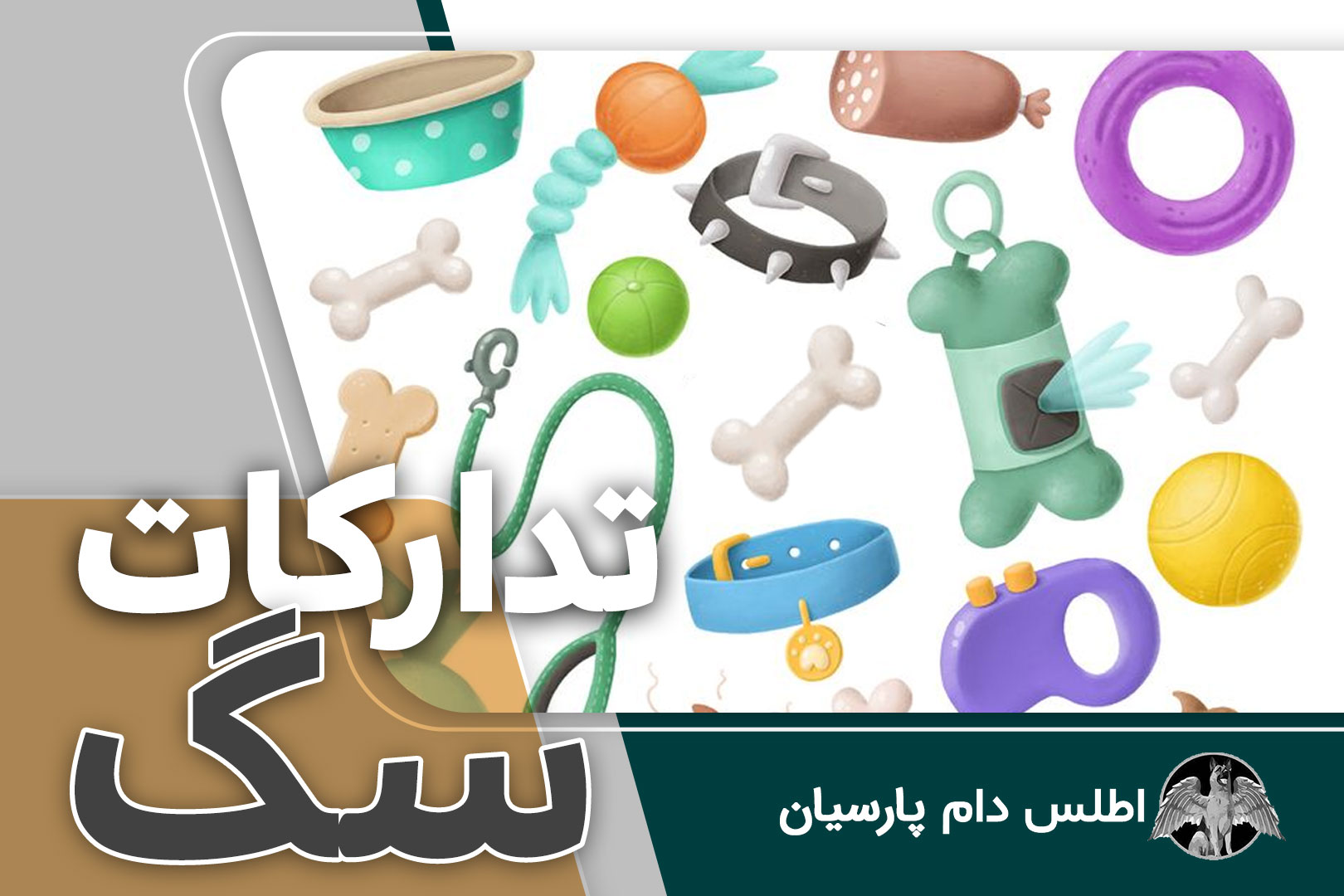 وسایل مورد نیاز برای آوردن سگ به خانه