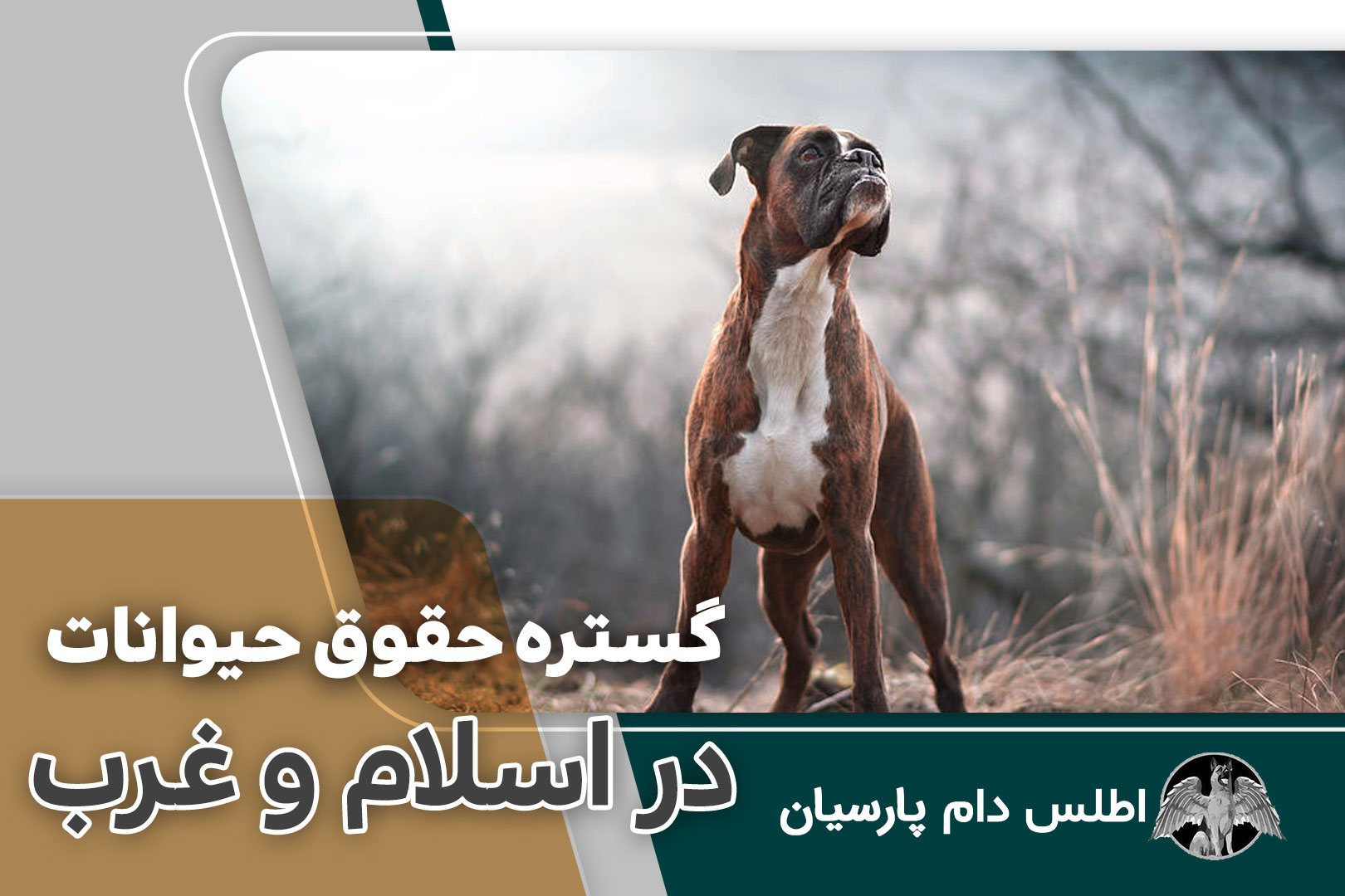گستره حقوق حیوانات در اسلام و غرب