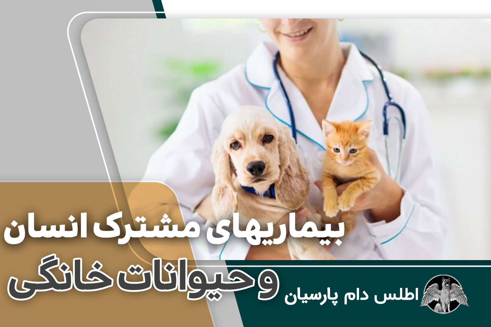 بیماریهای مشترک انسان و حیوانات خانگی