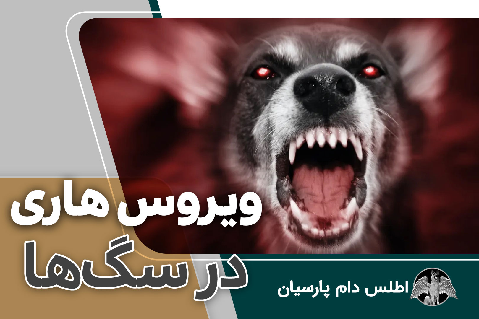 ویروس هاری در سگها