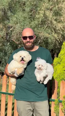 آگهی فروش نژاد بیشان فریزی