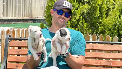 آگهی فروش نژاد داگو آرژانتینو