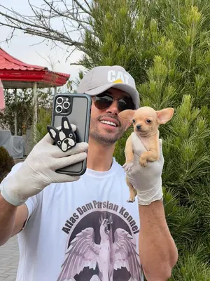 آگهی فروش نژاد چی واوا