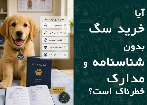 آیا خرید سگ بدون شناسنامه و مدارک خطرناک است؟