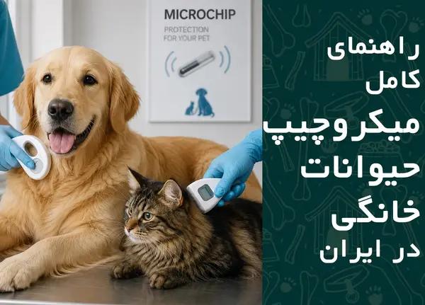 راهنمای کامل میکروچیپ حیوانات خانگی در ایران؛ از کاشت تا ثبت و استعلام